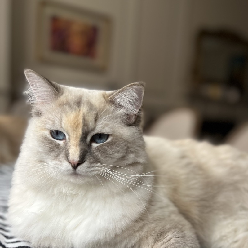 Luna