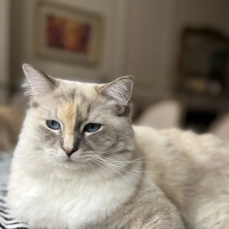 Luna